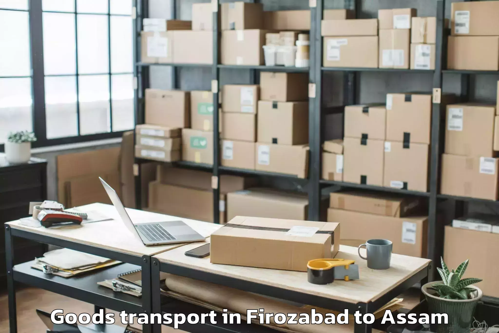 Top Firozabad to Bijni Goods Transport Available